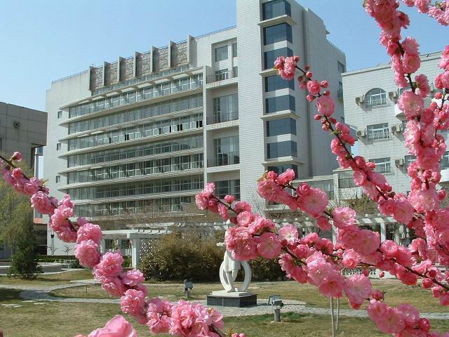 大屌插粉穴白虎大学生
